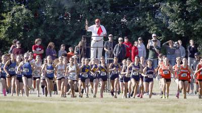 Cross country: Wheaton Warrenville South boys, Downers Grove North take titles at Braus Invitational