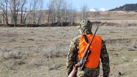 Hunters Feeding Illinois program under threat, deepening supply shortages for local food pantries