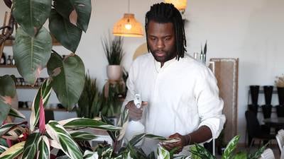 Coffee, plants and yoga? It’s all at the growing Greenhouse in Sycamore