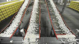 Egg prices could jump 41% this year, USDA says, as Trump’s bird flu plan is unveiled