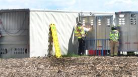 Fire crews, deputies respond to overturned semi-tractor hauling live hogs