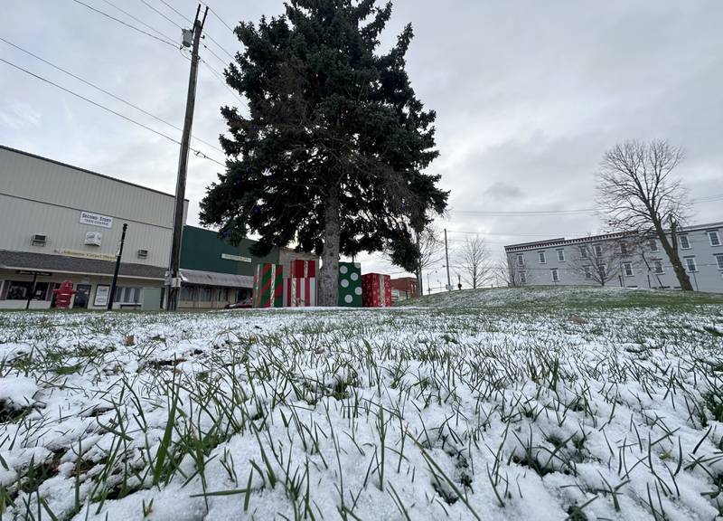 A light dusting of snow covers the ground near the pine tree on Thursday, Nov. 21, 2024 at Rotary Park in Princeton.