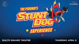 5 Things to Do in Will County: Perondi’s Stunt Dog Experience, National Poetry Month Open Mic this weekend