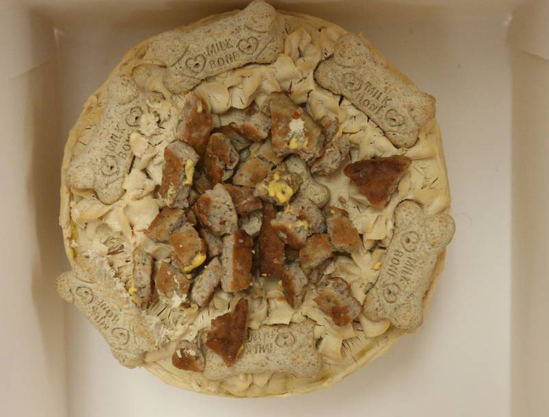 A view of the birthday cake for Peru Police K-9 Haven on her 2nd birthday on Wednesday, Feb. 25, 2026 at Students Obtaining Achievement and Responsibility (SOAR) school in Peru. The special dog cake was makde out of peanut butter, milkA view of the birthday cake for Peru Police K-9 Haven on her 2nd birthday on Wednesday, Feb. 25, 2026 at Students Obtaining Achievement and Responsibility (SOAR) school in Peru. The special dog cake was made out of peanut butter, milk bones and sausage.  bones and sausage.