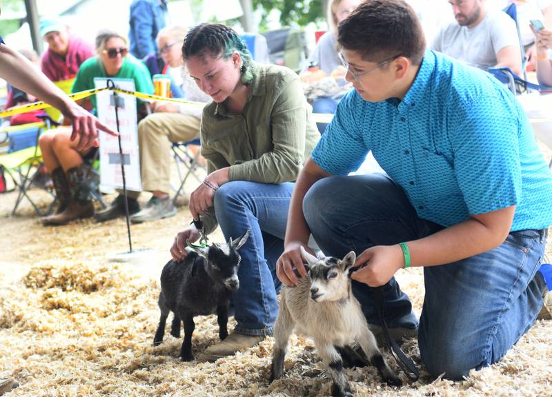 OCN Ogle County Fair photos Shaw Local