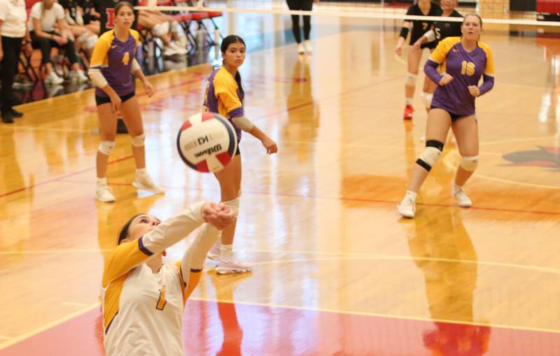 Mendota's libero Ava Eddy returns a serve from Hall on Tuesday, Sept. 13, 2024 at Hall High School.