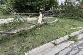 Low-interest loans available for businesses impacted by August 2025 storm damage  
