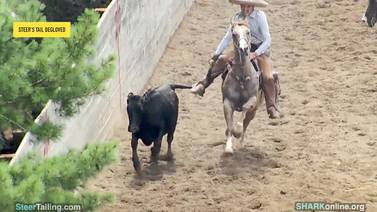 Animal cruelty charges in McHenry County could change how backyard rodeos operate across northern Illinois