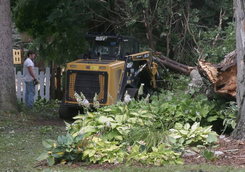 Crews with Timber Falls Tree Service clean up a giant tree that fell near a home in the 900 block of Euclid Street on Friday, July 11, 2025 in Princeton. Princeton received over 4 inches of rain from the storm system that sent winds and heavy precipitation to the area.