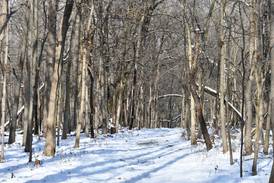 5 Things to Do: Take a First Day Hike, Great Midwest Train Show this weekend in DuPage County