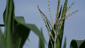 AFBF survey: Majority of U.S. farmers unable to meet fertilizer needs
