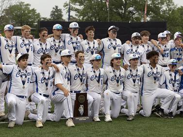 Making third straight state appearance, Newman finishes fourth for second year in a row