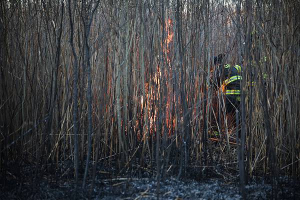 Nearly 4 acres of marshland consumed by fire Saturday near Cary