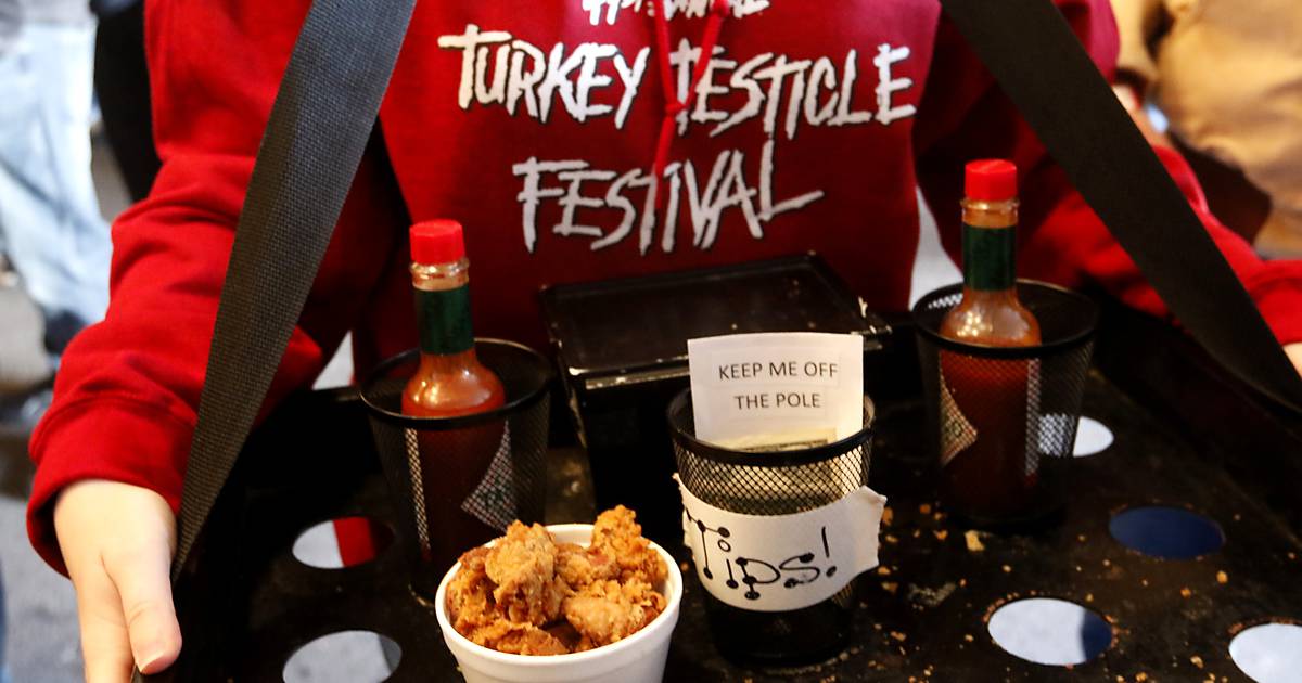 Photos Turkey Testicle Festival in Huntley Shaw Local
