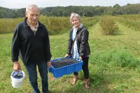 Photos: BerryView Orchard: Fun and Fruit
