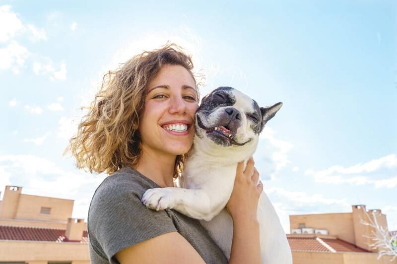 Cedar Lane Kennels - Four Tips For First-Time Dog Owners