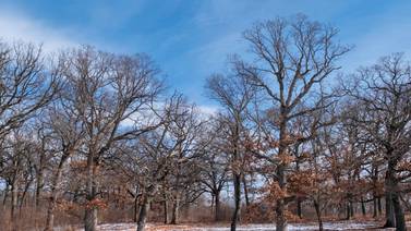 Forest Preserves Board approves 2 land acquisitions 