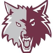 Prairie Ridge’s Emma Dallas throws no-hitter: Wednesday’s Northwest Herald sports roundup