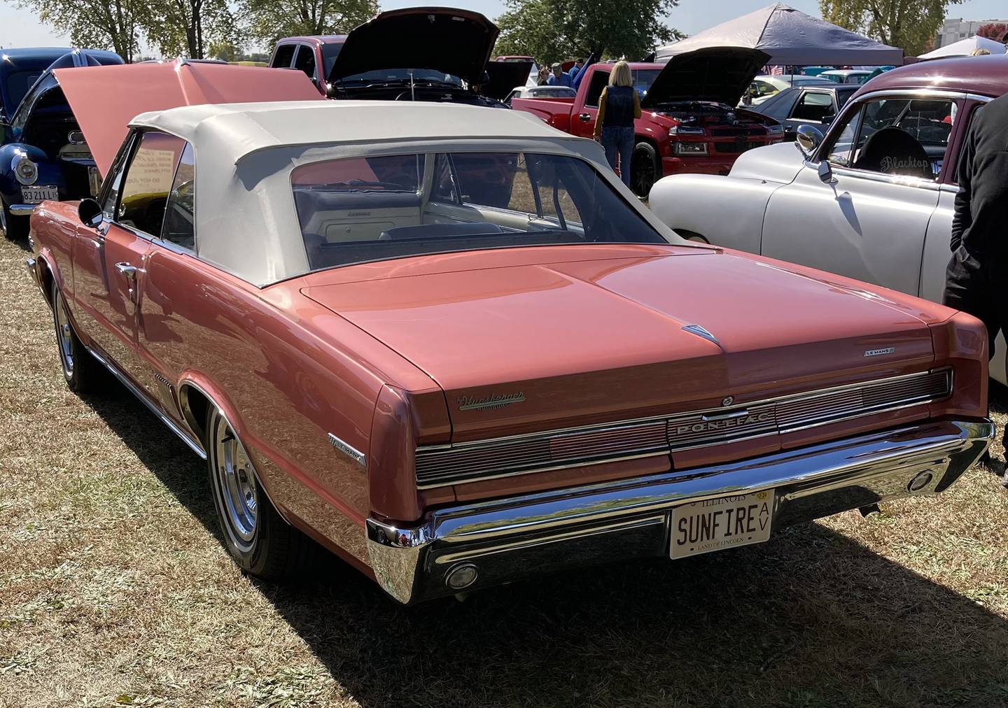 Photos by Steve Rubens - 1964 Pontiac Le Mans Rear