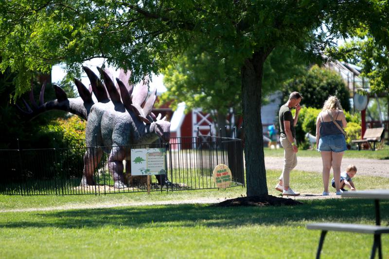 Dinosaurs are scattered throughouth Kuipers Family Farm in Maple Park for the Dino Farm Adventure on Thursday, May 30, 2024. The Dino Farm Adventure will be at Kuipers until June 16.