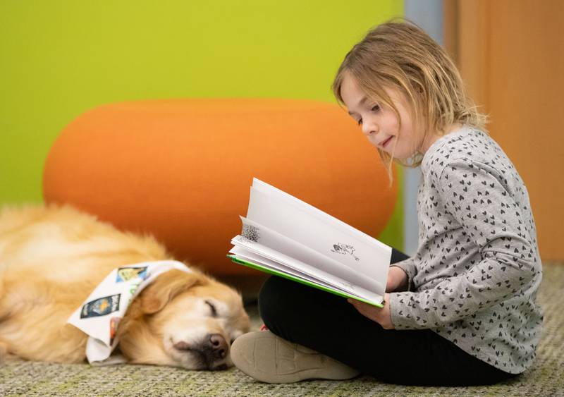 Naomi Coleman, 7, reads to therapy dog Princess at the Elmhurst Public Library on Saturday, Feb. 12, 2023.