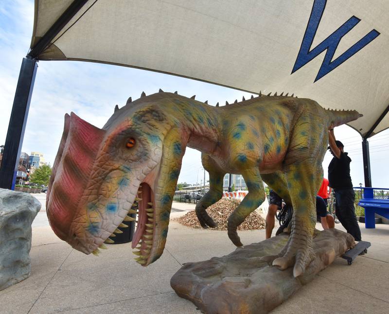 A dinosaur is unloaded from it's dolly on Front Street during installation of life-sized dinosaurs in downtown Wheaton on Friday, September 22, 2023.