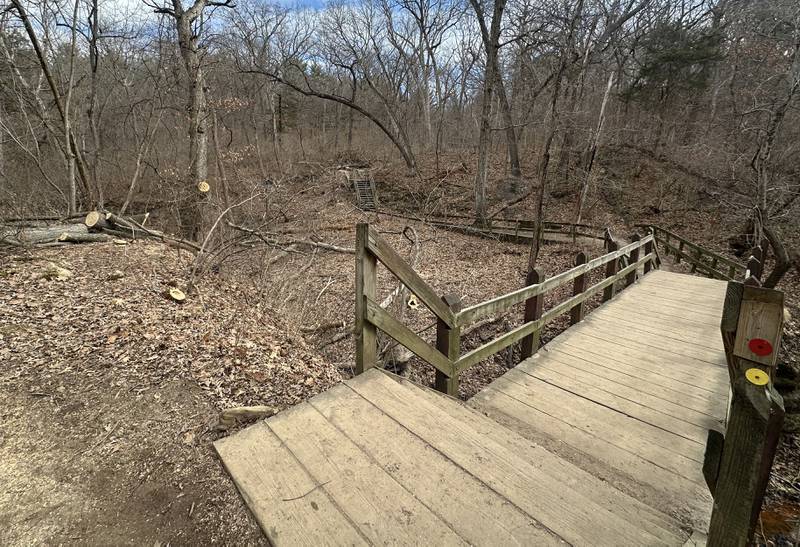 Fresh cut trees lay on the ground near the trailhead to French Canyon as crews begin renovation work on Monday, March 2, 2026 at Starved Rock State Park. A newly constructed bridge will be built here beginning this month. Starved Rock State Park received a 37 million upgrade to trail improvement that is underway and continue through 2026. Trail closures will be announced on the Starved Rock and Matthiessen State Park Facebook pages.