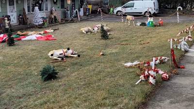 Downers Grove family looks to the ‘bright side’ after vandalism to holiday decorations