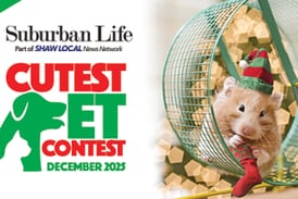 December Cutest Pet Contest
