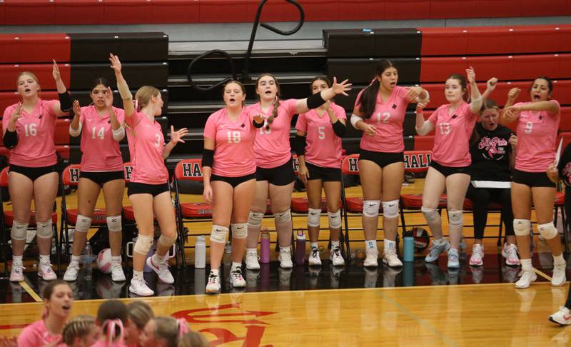 Members of the Hall volleyball team react after winning the second set against Princeton on Thursday, Oct. 9, 2025 at Hall High School.