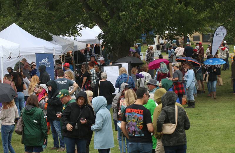 Despite the rain hundreds of people turned out for the 20th annual Vintage Illinois Wine Festival on Sunday, Sept. 17, 2023 in Utica.