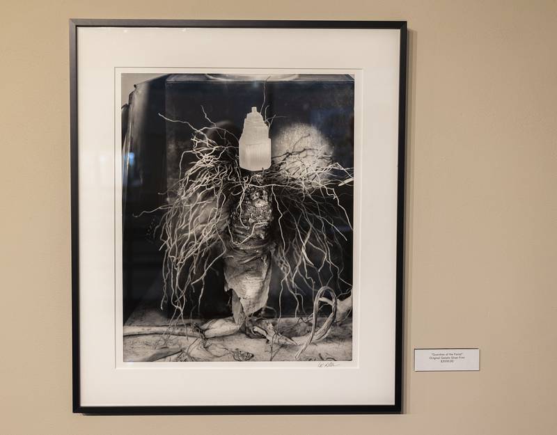 Les Allen constructs still-life works by using natural and artificial objects to juxtapose one another in his photographic works. The show will be up until Nov. 20 in the second-floor, east-end art gallery at Sauk Valley Community College.