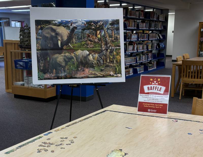 The Woodstock Public Library is challenging visitors to help put together an 18,000-piece puzzle.