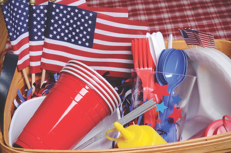 backyard picnic items