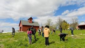 5 Things to Do: Earth Day Celebration, live comedy in Batavia & Aurora this weekend