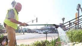 Princeton explores America in Bloom participation