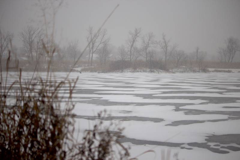 A frozen pond covered in snow on Wednesday, Feb. 12, 2025, at the Black Road Access to the Rock Run Preserve in Joliet.