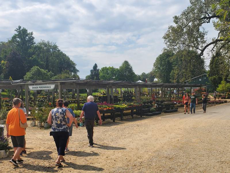 The event was held at the popular plant nursery and wedding venue located outside of Princeton.