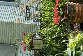 Grow gardening knowledge at home with Master Gardener online training options
