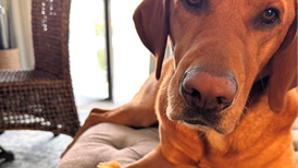 Lake County Sheriff’s group aims to help children