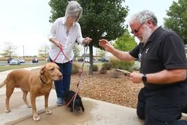 OSF to host blessing of the animals in Ottawa, Streator