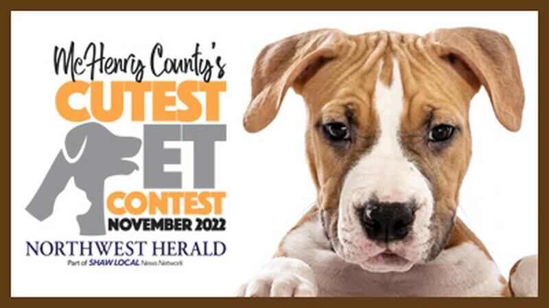 McHenry County cutest pet November 2022
