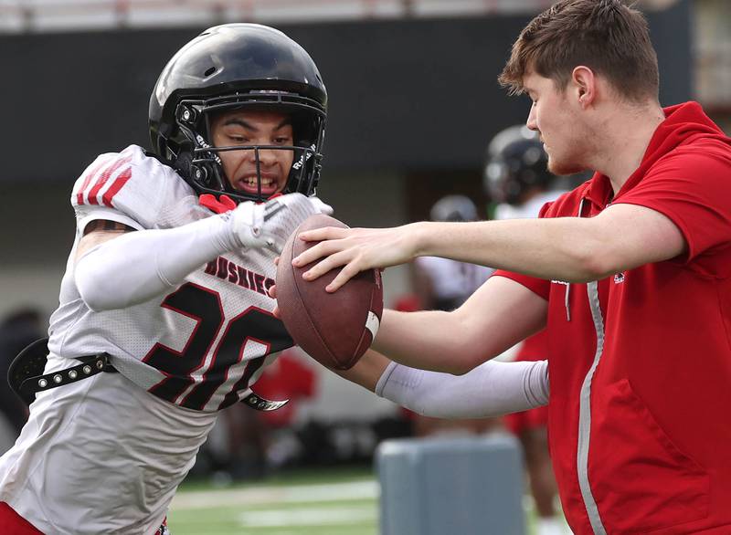 Northern Illinois University safety Andruw Ellis tries to force a fumble Tuesday, April 14, 2026, during a drill at spring practice in Huskie Stadium at NIU in DeKalb.