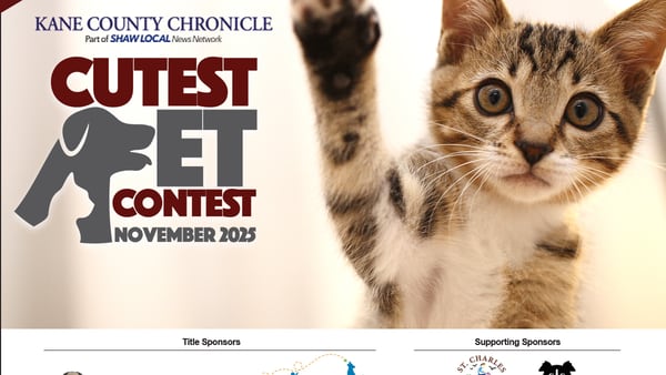 Kane County November Cutest Pet Contest