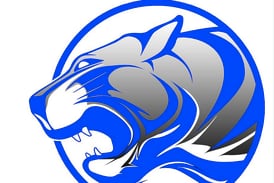 Princeton ‘fights’ in 9 inning-loss to Pontiac in 2A regional finals 