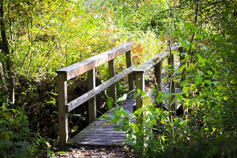 The Land Conservancy of McHenry County is offering a free series of Wednesday Walks in May and June. One of the walks will be at Donato Conservation Area, pictured here.