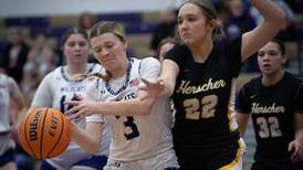 Photos: Herscher vs. Wilmington, girls basketball