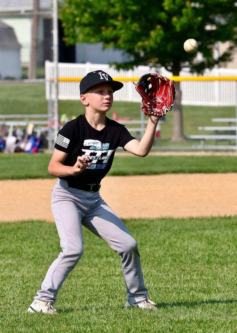 Tiger Baseball Camp