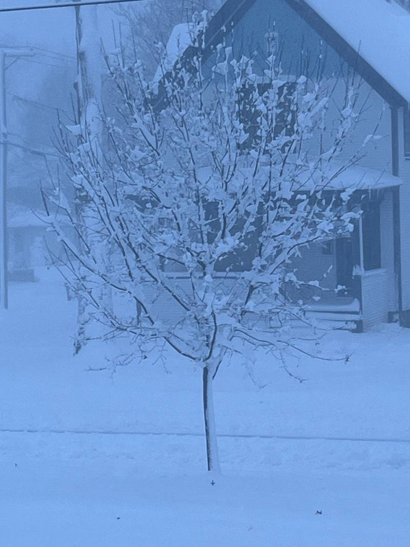 The aftermath of the snowstorm on Friday, January 12, 2024, in McHenry County