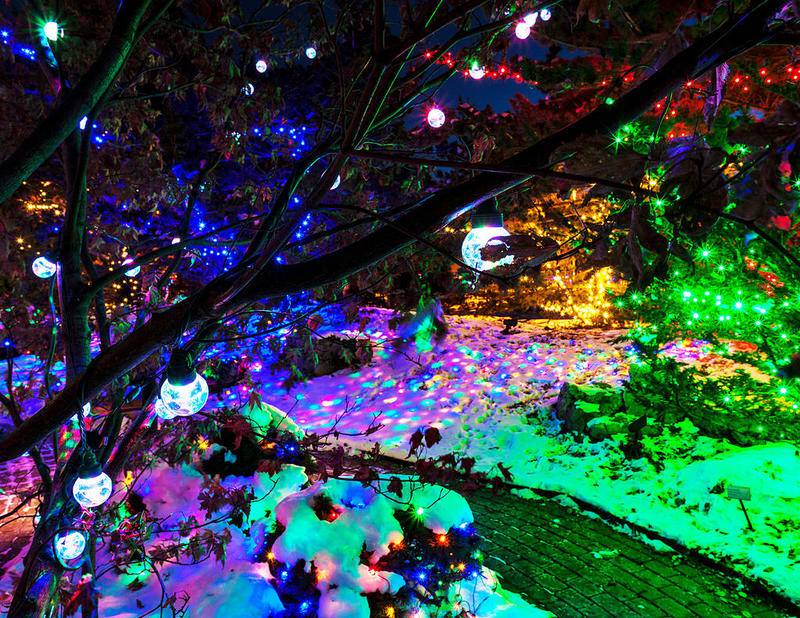 DAY TRIP_Garden of delights Quad City Botanical Center will flip the switch on holiday magic